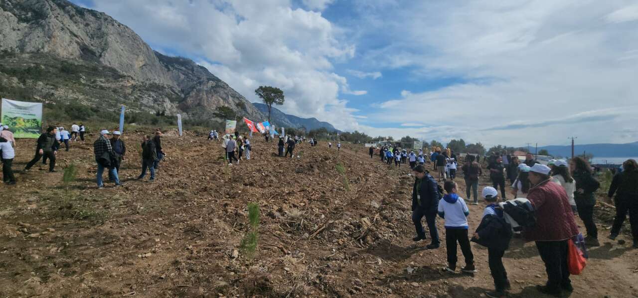 Muğla’da Orman Haftası Etkinliği: 28 Bin Fidan Toprakla Buluşuyor 7